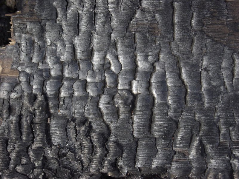 Обугленное дерево текстура