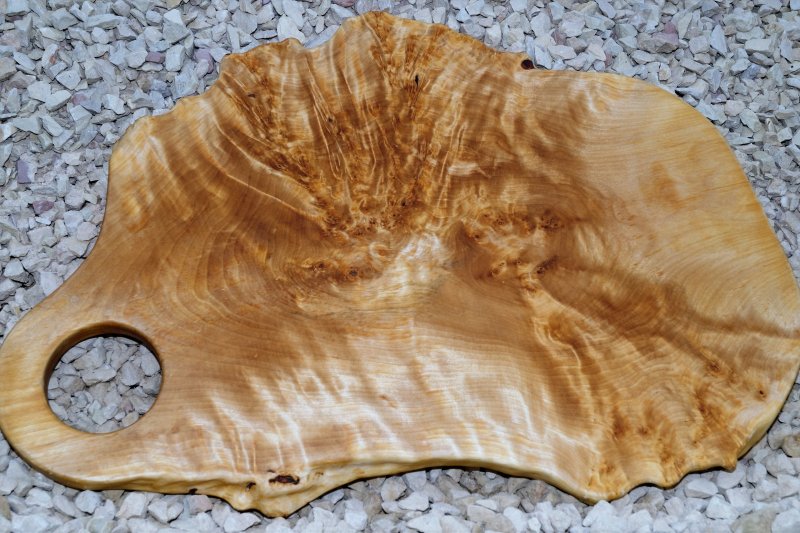 Сувель кап березовый