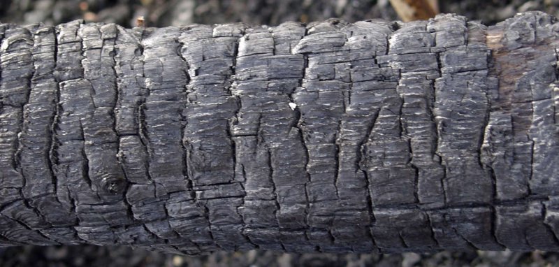 Обгоревшее дерево текстура