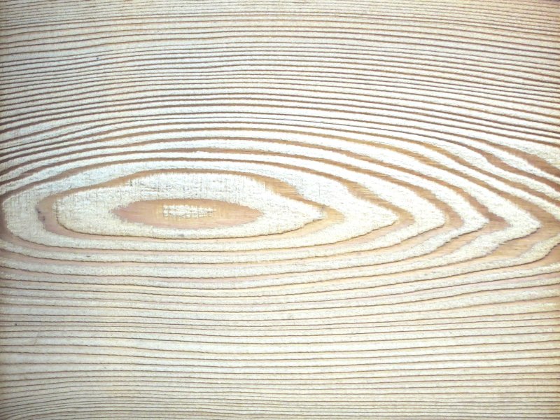 Граб текстура древесины