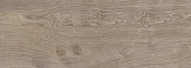 Скиф дуб Корсика светлый