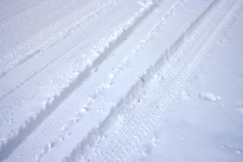 Снег фактура