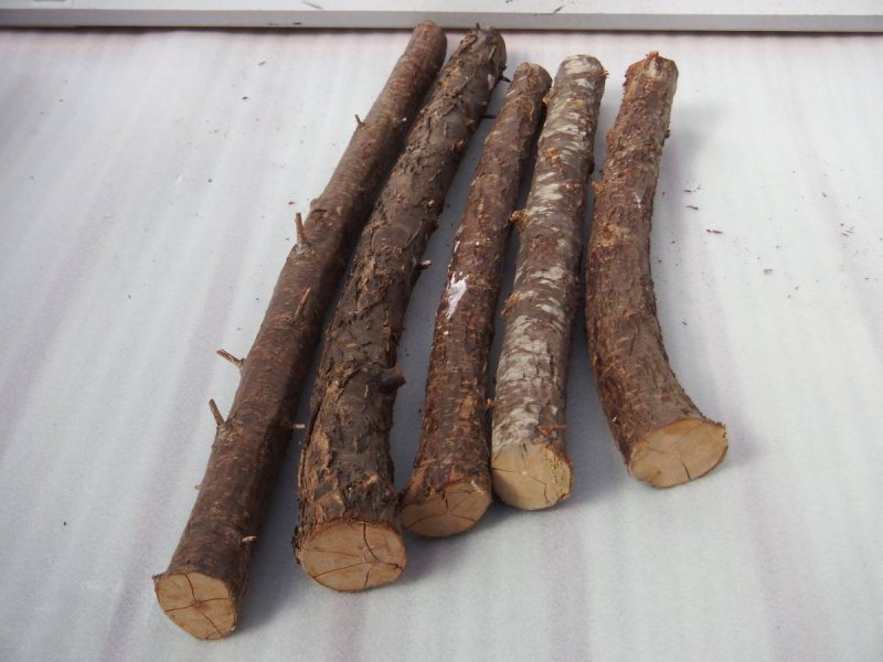 Древесина сливы