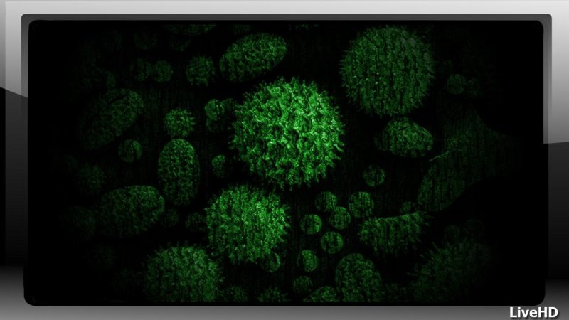 Бактерии на черном фоне