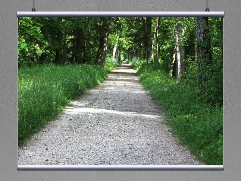 Экотропа Лесная тропа