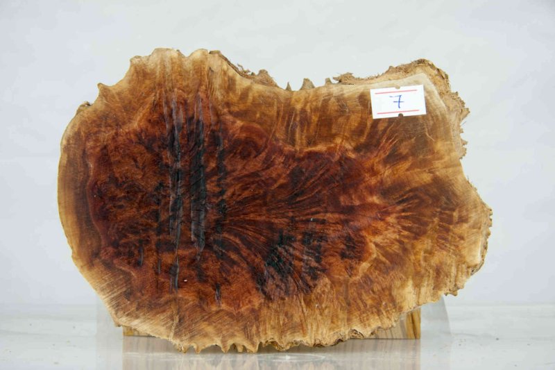 Сувель березовый