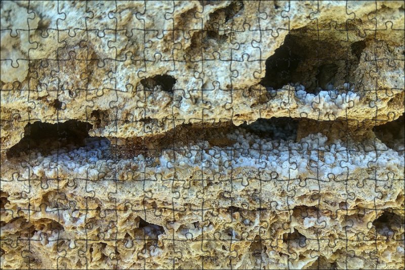 Ракушечник Горная порода