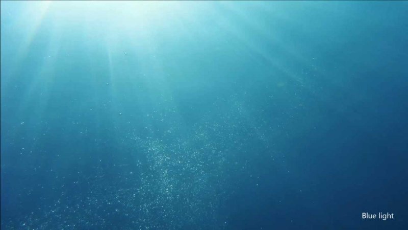 В толще воды