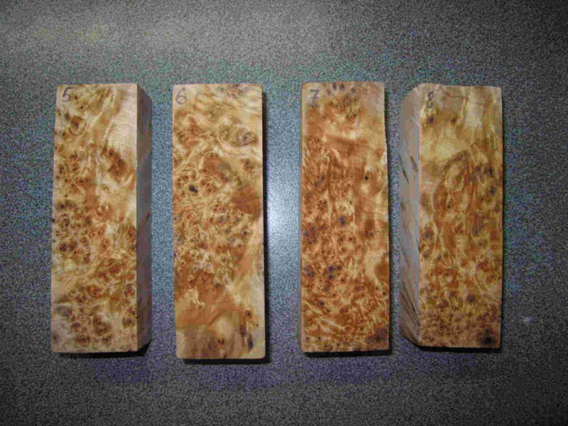 Сувель вяза