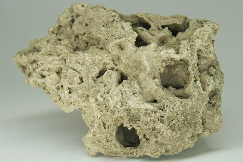 Известняк осадочные горные породы