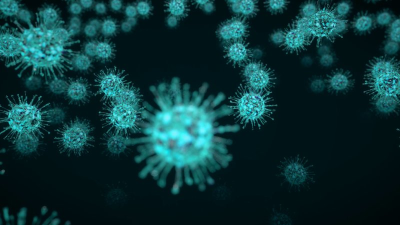 Coronavirus бактерия