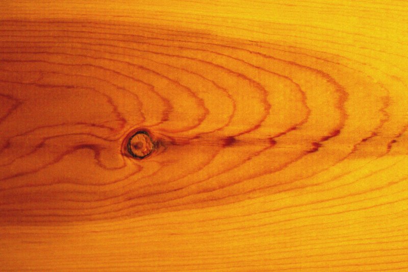 Срез дерева