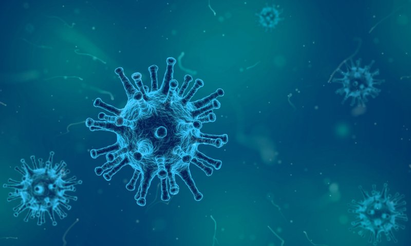 Вирусы картинки