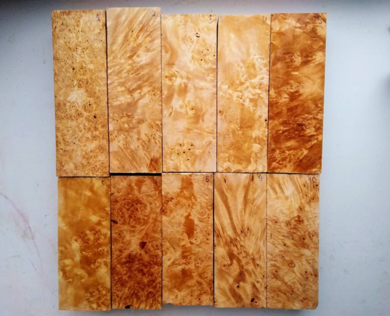 Сувель березы