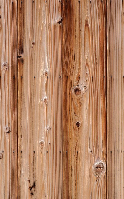 Фактура дерева