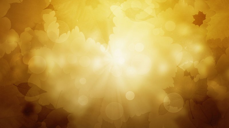 Фон для портрета