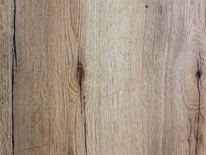 Дуб Галифакс