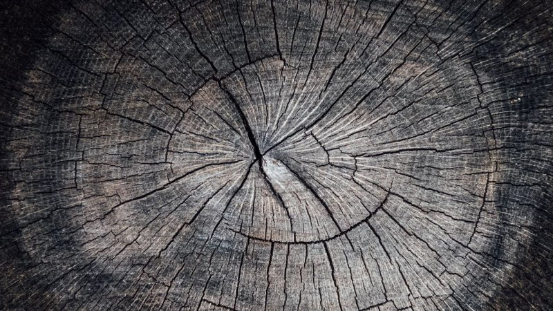 Текстура дерева с трещинами