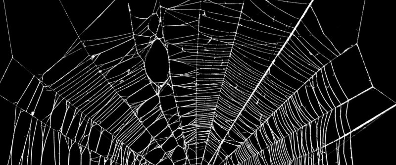 Белая паутина на черном фоне