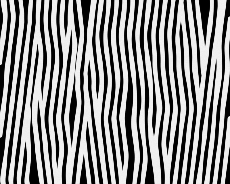 Полоски зебры