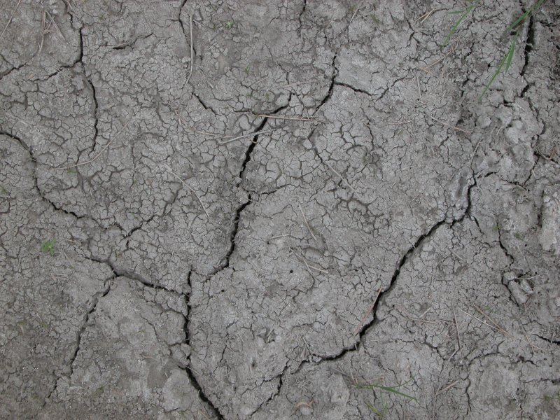 Трещины на стене текстура