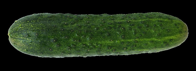 Огурец cucumber