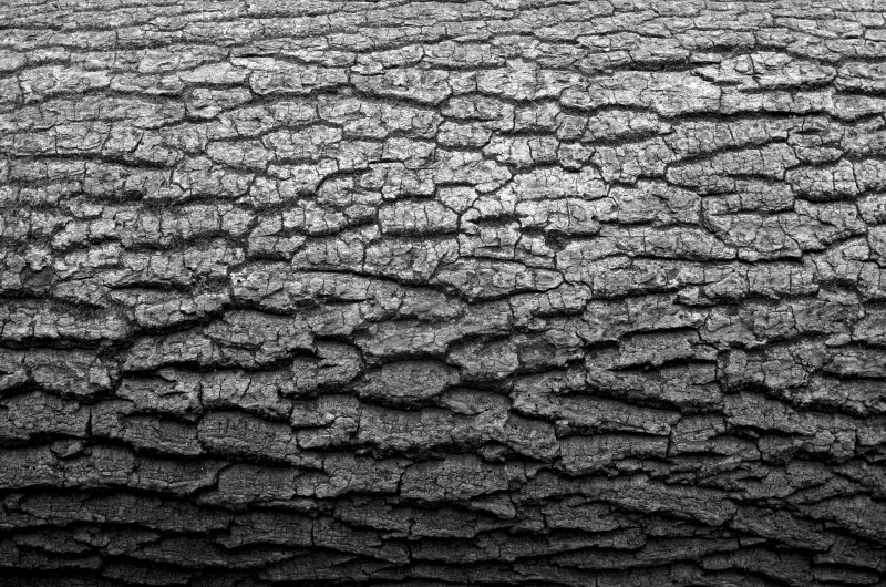 Черно белая фактура