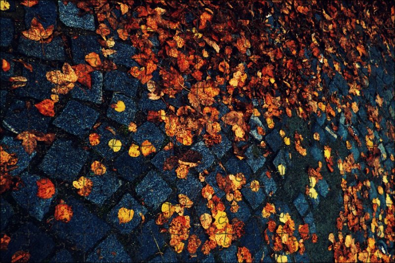 Фактура осени