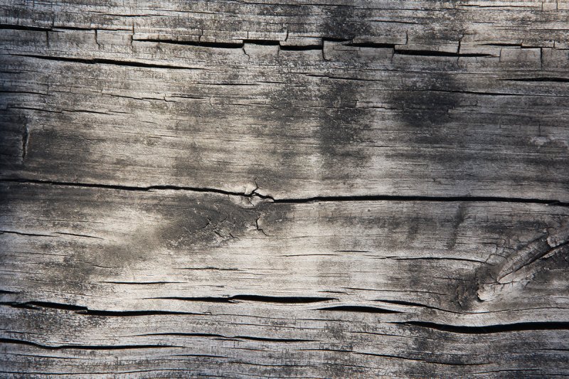 Фактура трещины дерево