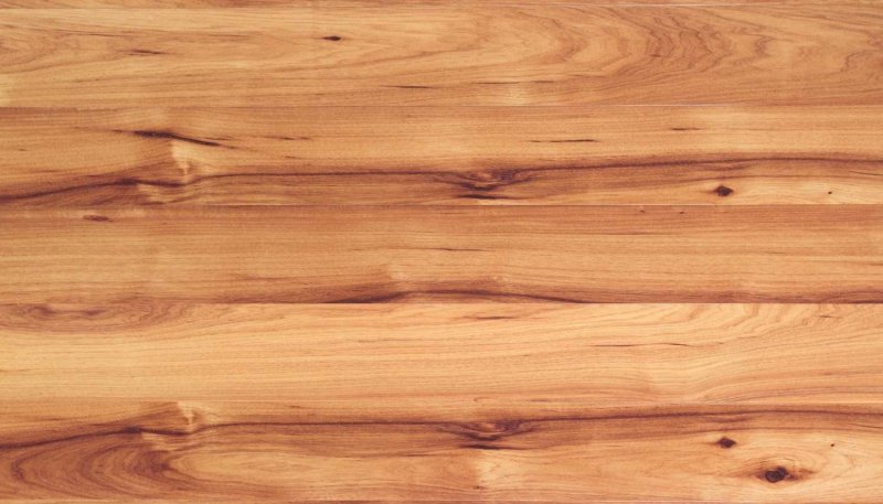 Орех грецкий Вудсток