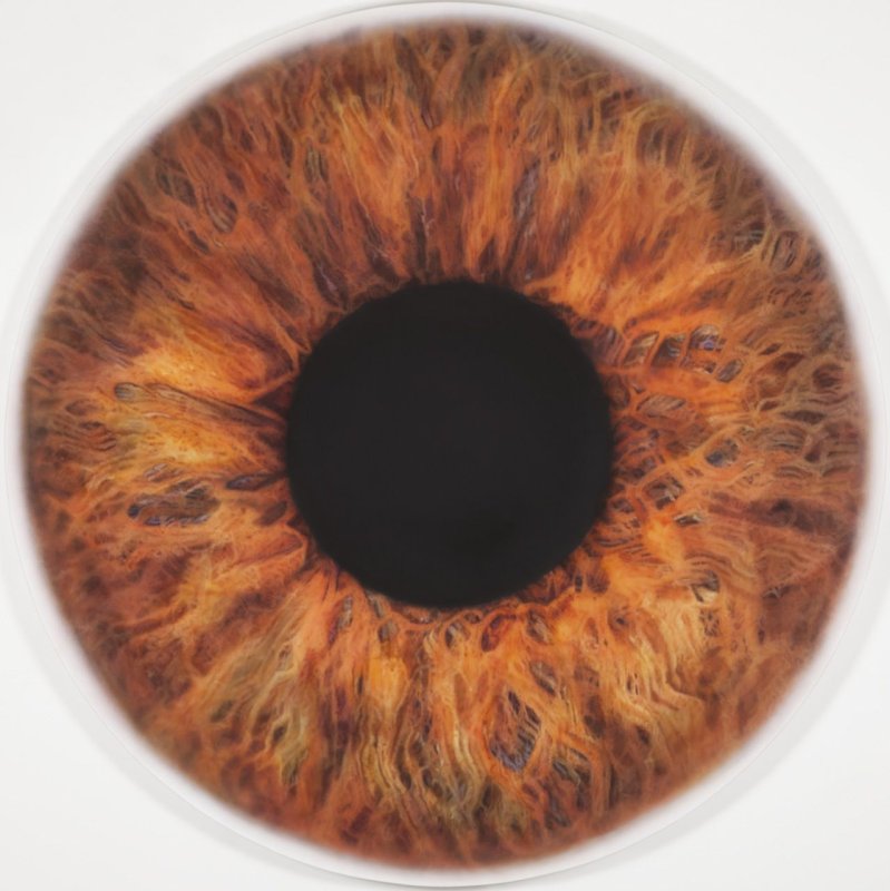 Оранжевый зрачок