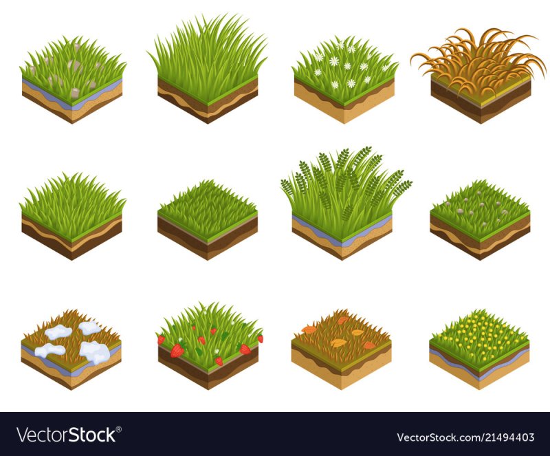 Трава изометрия