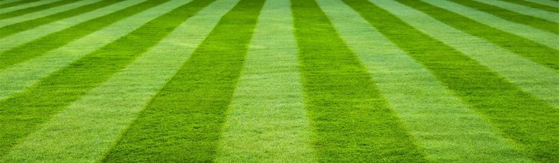 Футбольный газон