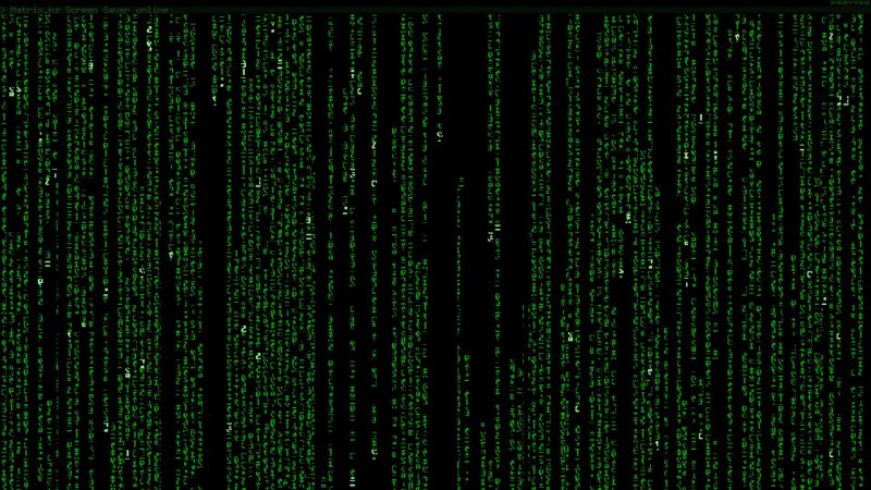 Матрица 101011010010101001010