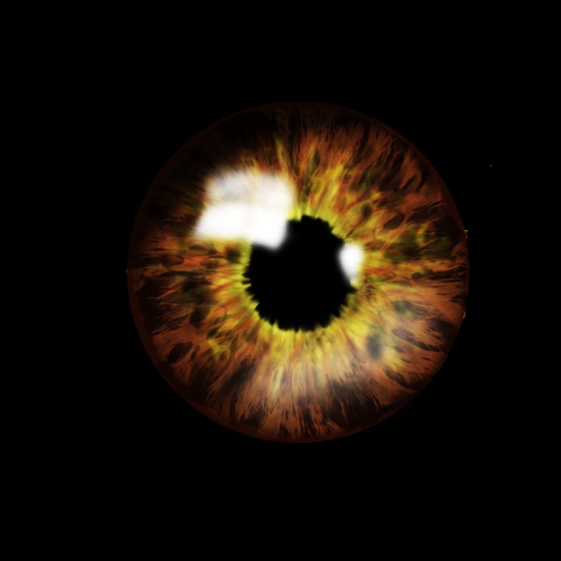 Зрачок глаза