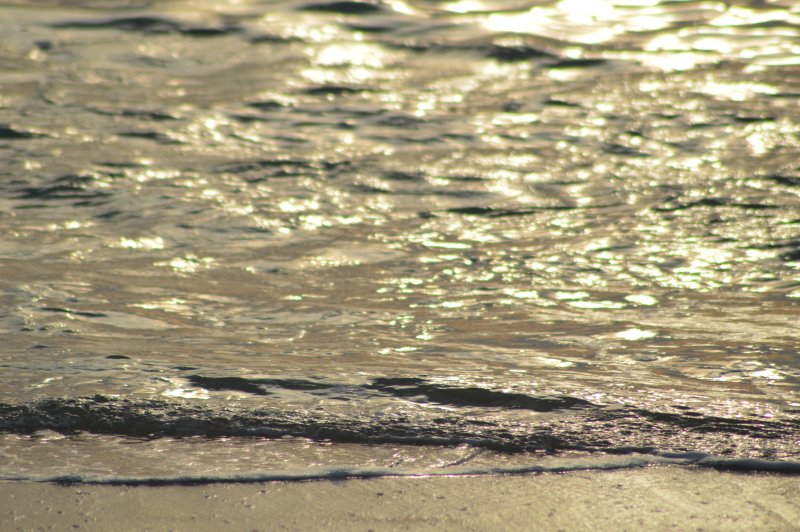 Берег текстура