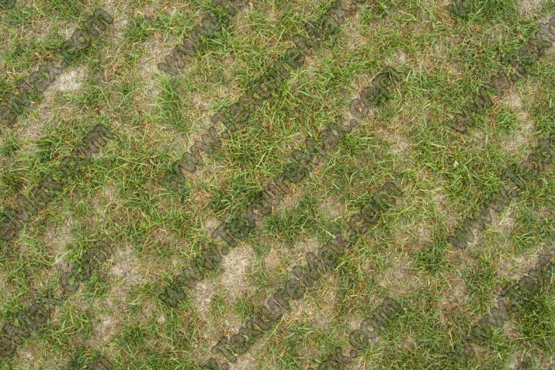 Текстура земли бесшовная 4к