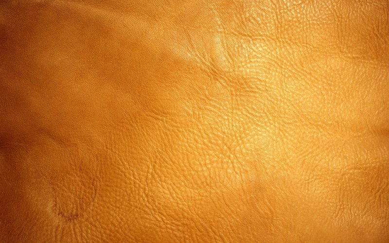 Текстура кожи