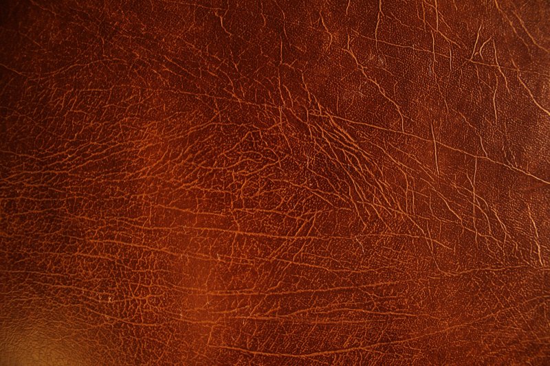 Текстура кожи