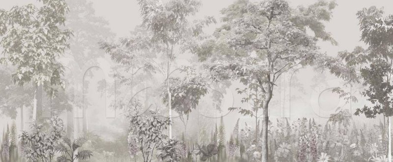 Фотообои деревья Графика