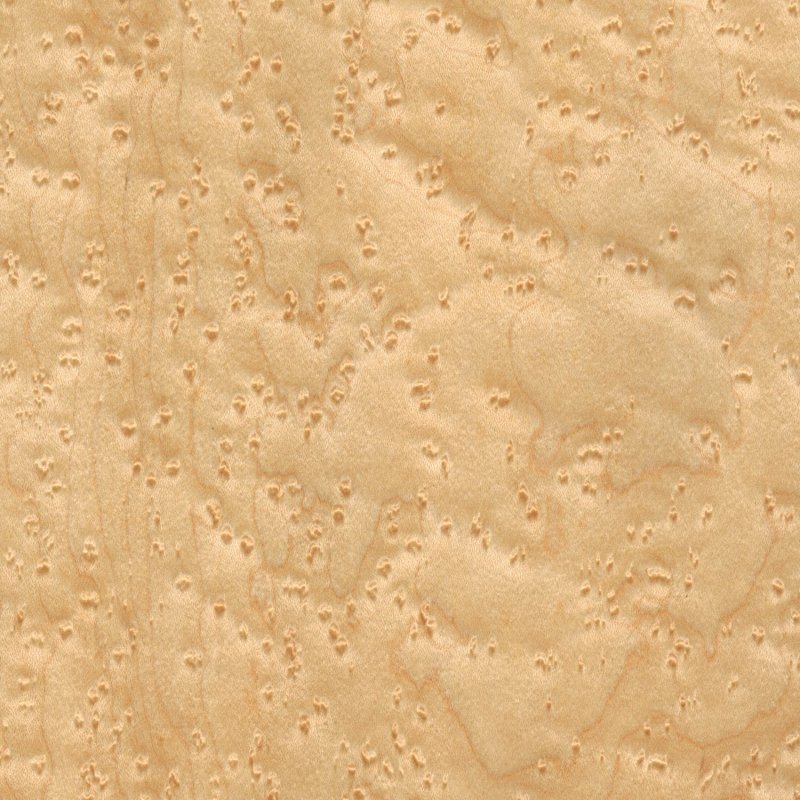 Birdseye Maple