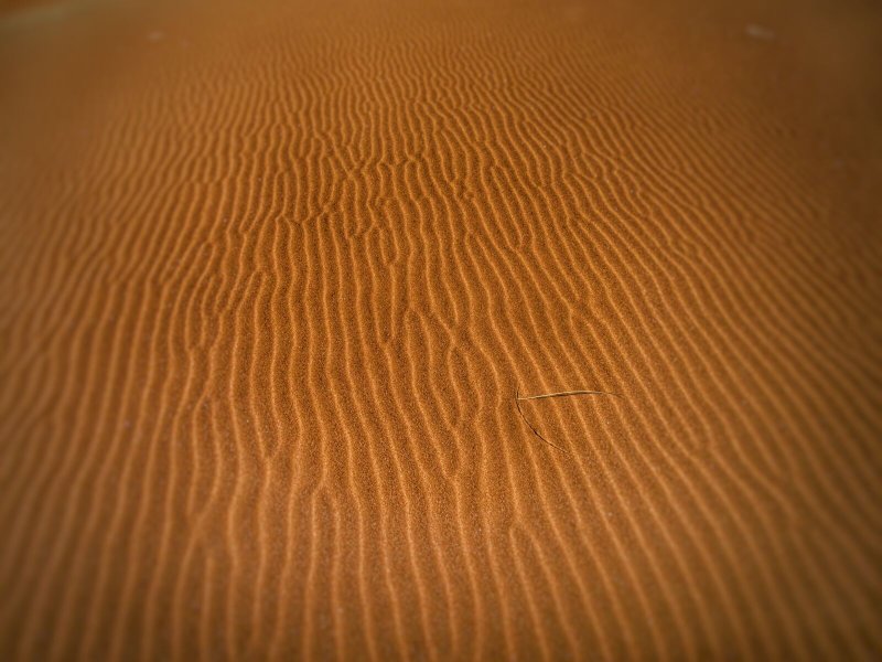 Текстура песка в пустыне