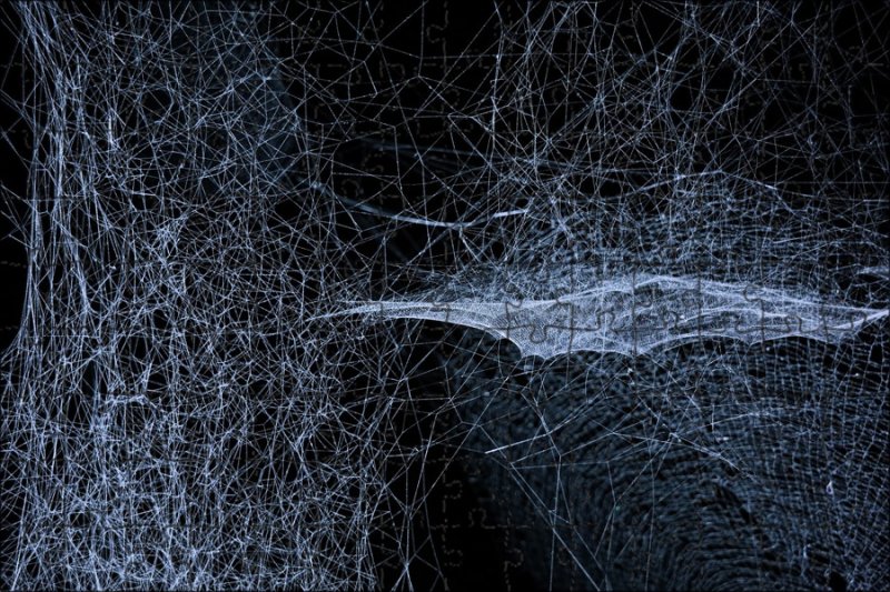 Паутина текстура