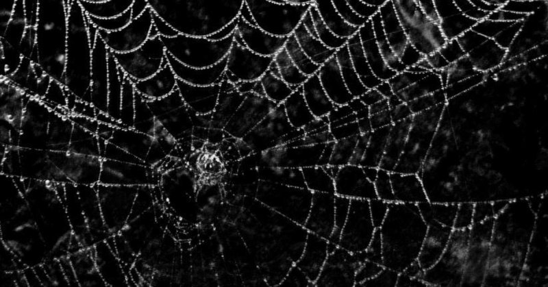 Белая паутина на черном фоне