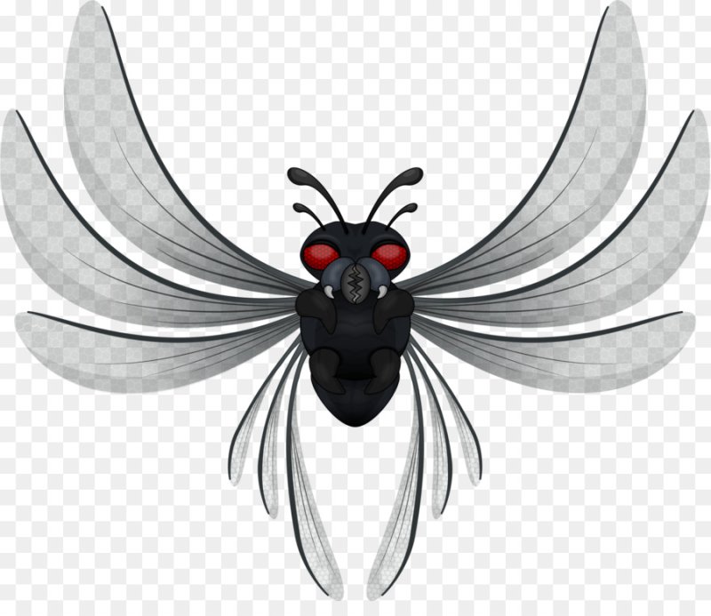 Крылья мухи