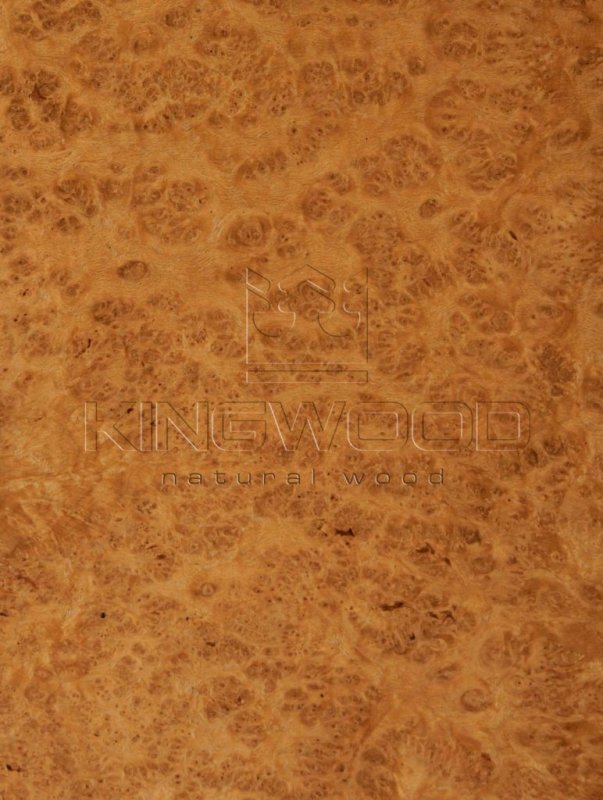 Шпон карельской березы