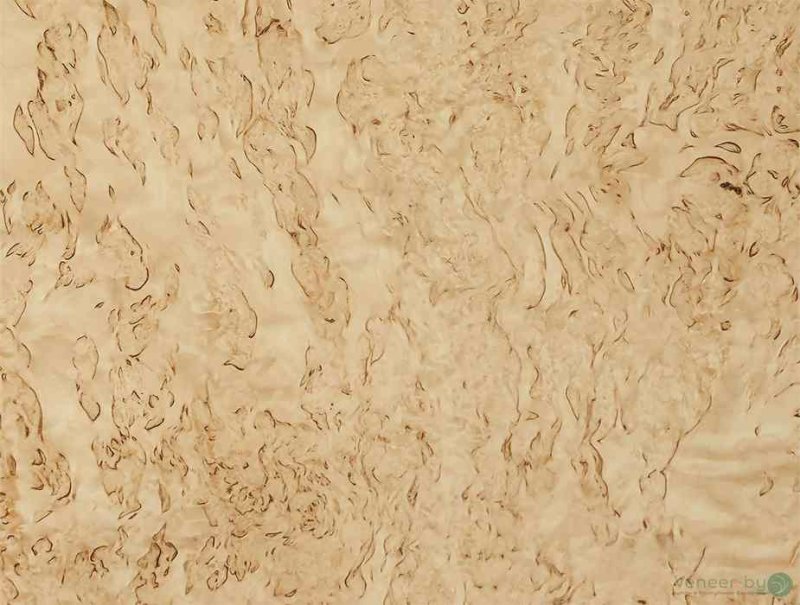 Карельская береза шпон Вудсток