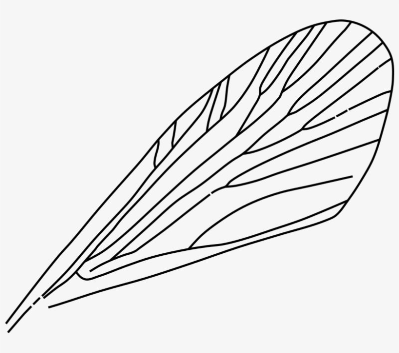 Крылья трафарет