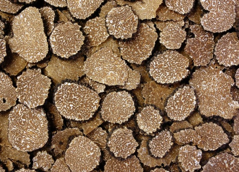 Трюфель Слайс