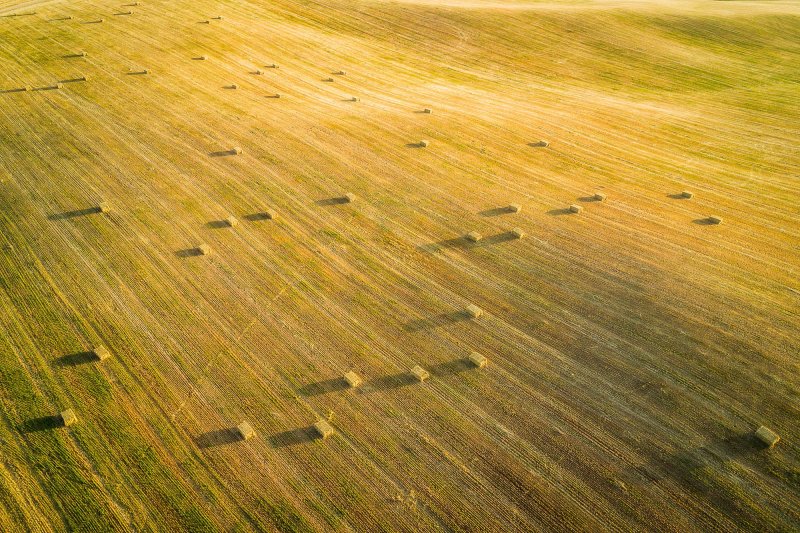 Поле вид сверху